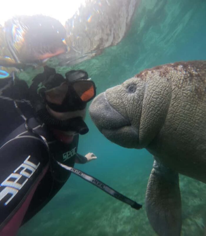 Crystal River: Swim with Manatees Private Tour Free Photos - The Role of the Guides and Their Expertise