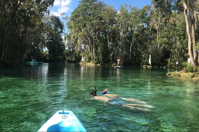 Crystal River Tandem Kayak Rental | 4 Hour | See The Manatees! - Key Points