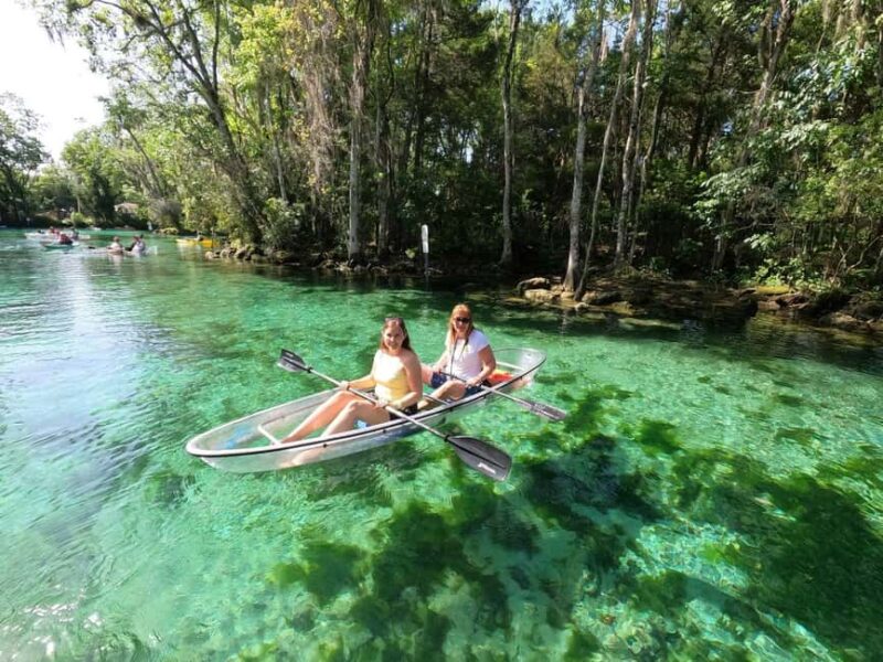 Crystal River: Three Sisters Springs Eco Tour by Clear Kayak - The Role of Expert Local Guides and Their Insights