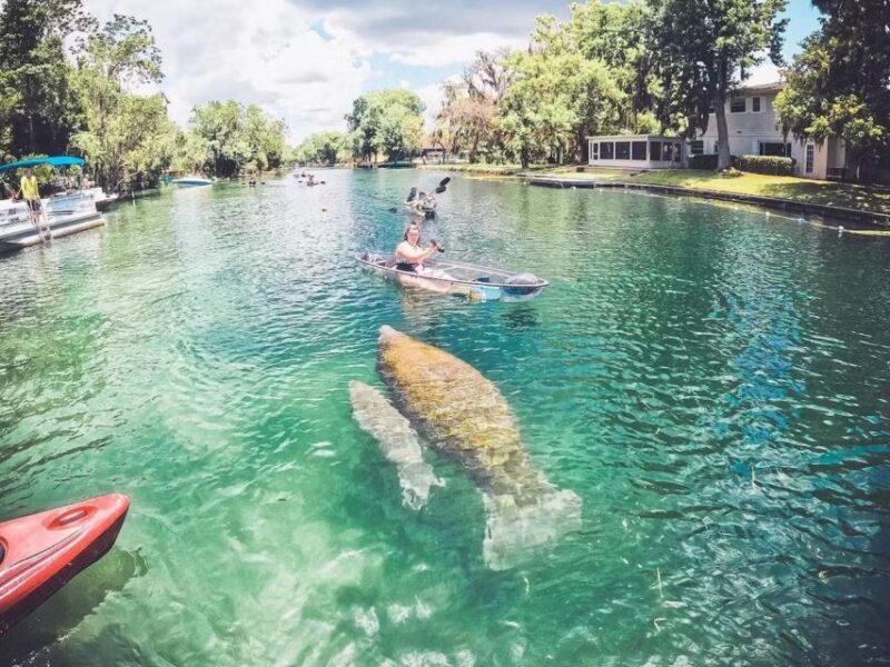 Crystal River: Three Sisters Springs Eco Tour by Clear Kayak - Final Thoughts on the Crystal River Eco Kayak Tour