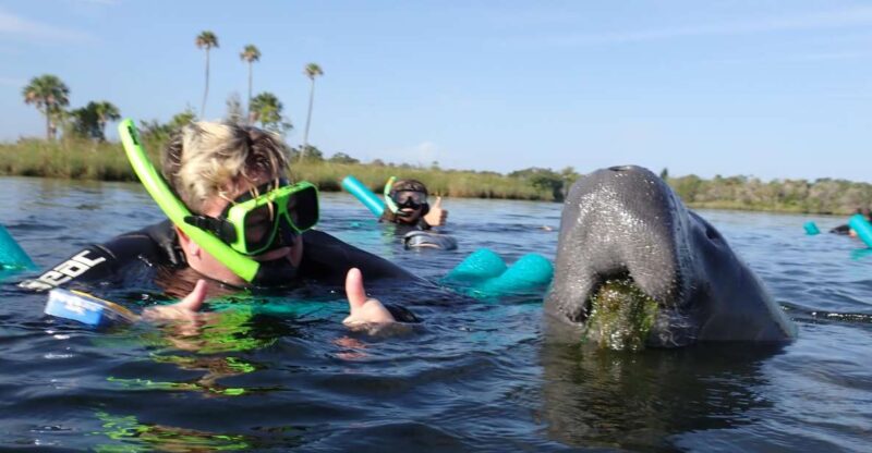 Crystal River: VIP Manatee Swim w/ In-water Photographer - The Comfort of the Luxury Pontoon Boat