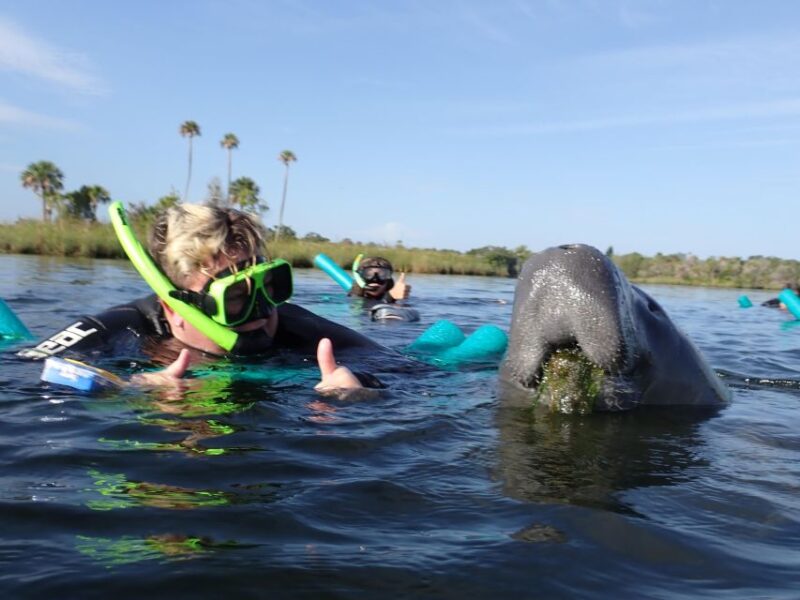 Crystal River: VIP Manatee Swim w/ In-water Photographer - Professional In-Water Photography