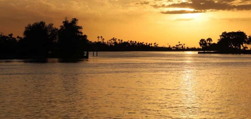 Crystal River: Wildlife Boat Tour with Naturalist Guide - Wildlife Viewing Opportunities in Crystal River