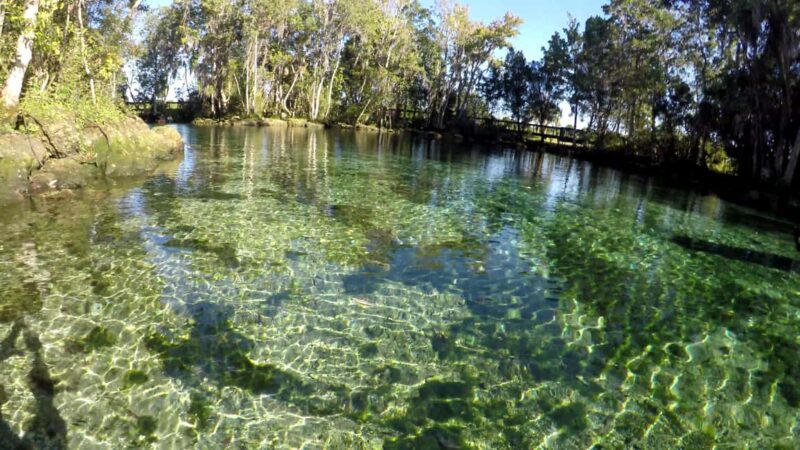 Crystal River:Three Sisters Springs Guided Kayak & Swim Tour - Explore Crystal River’s Crystal Clear Waters for $85