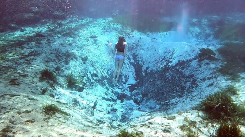 Crystal River:Three Sisters Springs Guided Kayak & Swim Tour - What’s Included and What to Bring