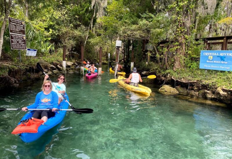Crystal River:Three Sisters Springs Guided Kayak & Swim Tour - How Guides Enhance Your Experience