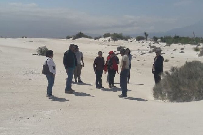 Cuatro Cienegas magic town from Monterrey - What Makes This Tour Stand Out?