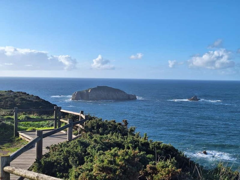 Cudillero, Aviles and Faro de Cabo Peñas tour from Oviedo - The Guide’s Role and Tour Experience