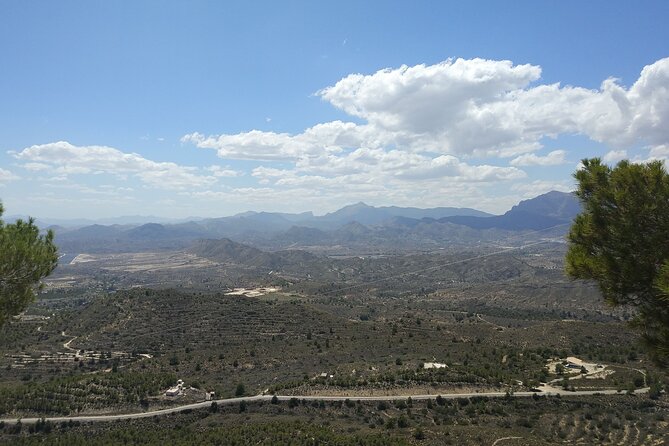 Cueva Canelobre and village Busot tour from Alicante and Campello - Practical Details and Tour Logistics