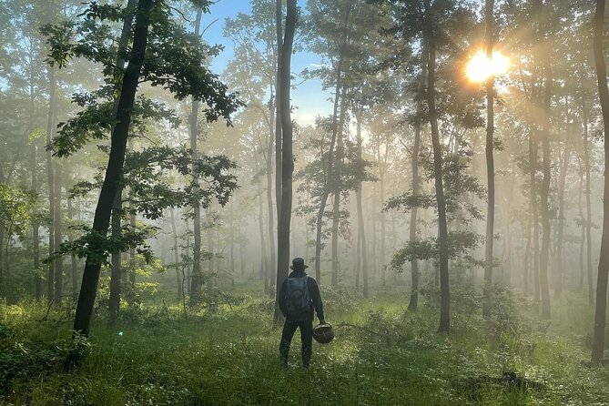 Culinary Adventure To The Fungi And Botanical Kingdom Of Bulgaria - Explore Bulgaria’s Unique Fungi and Botanical World for Active Food Enthusiasts