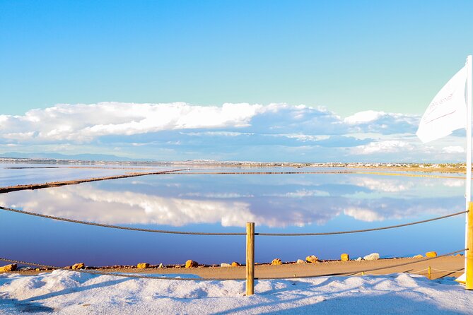 Culinary Demonstration and Gourmet Tasting Visit in Laguna Rosa - The One Review and What It Reveals