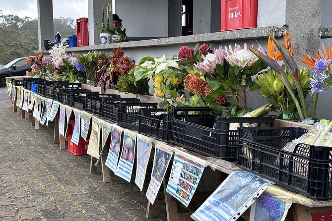 Culinary "Food & (E) Bike" Tour - Explore Madeiras Culinary and Scenic Treasures on an E-Bike