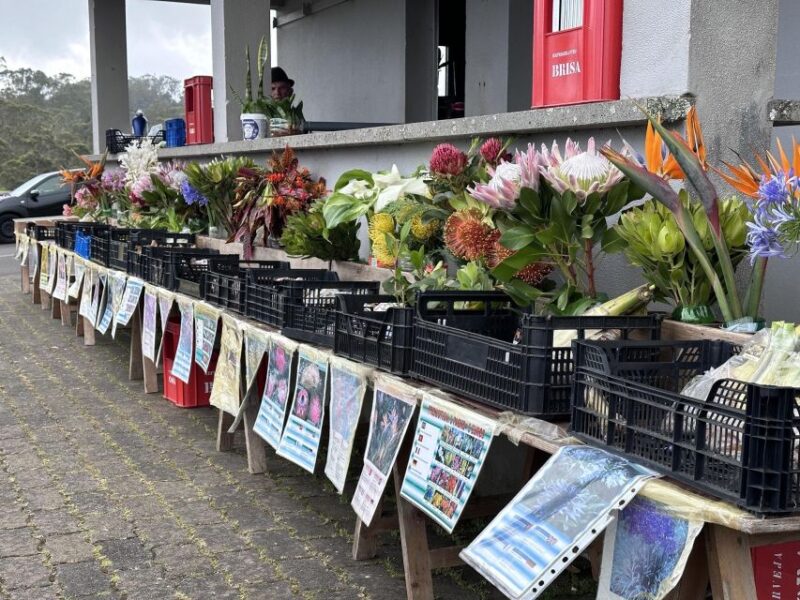 CULINARY "FOOD & (E) BIKE TOUR - Why Choose the Madeira Food & (E) Bike Tour?