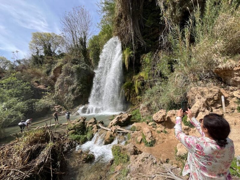 Cullera: History, Beach, and the boat trip to the Albufera - Logistics and Practical Details