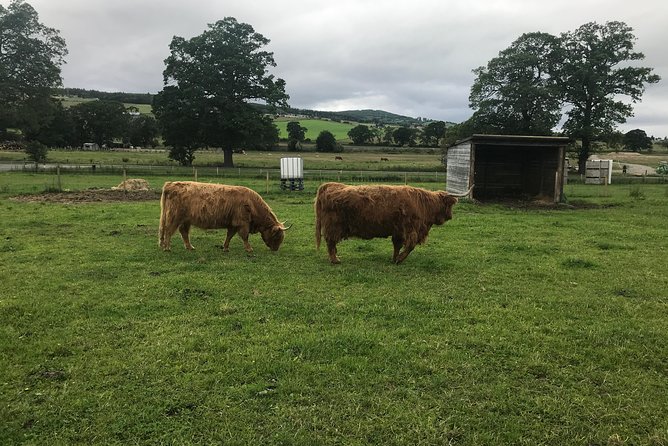 Culloden Battlefield, Clava Cairns and Loch Ness, Urquhart Castle - Key Points