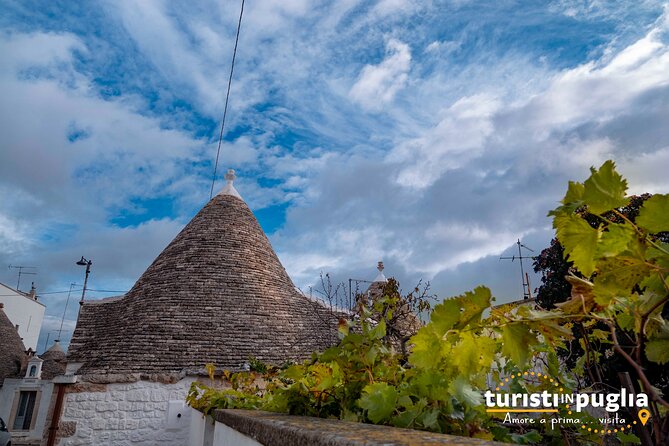 Cultural and gastronomic tour in Alberobello - Practical Details: Meeting Point, Timing, and Accessibility