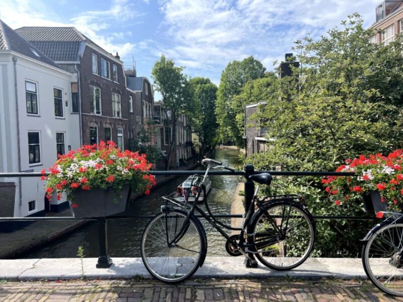 Cultural and Historical Audio Guided Walking Tour of Utrecht - Flexibility and Pacing