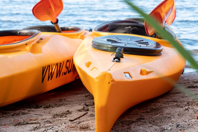 Cultural kayak tour in Stralsund - Circling the Harbor Island and Viewing the Ozeaneum
