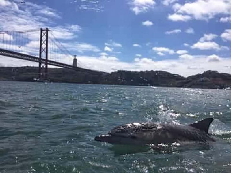 Cultural Sailing Tour in Lisbon - Who Will Enjoy This Tour Most?