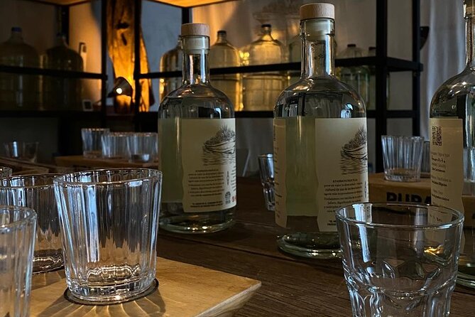 Cultural Tasting of 3 Roots in Puerto Vallarta - The Sum Up: A Unique Cultural Tasting of Roots in Puerto Vallarta