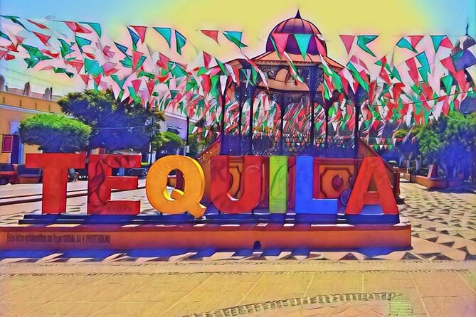 Cultural tour, city fields and distillery - Inside the Distillery: How Tequila Comes to Life