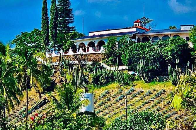 Cultural tour, city fields and distillery - Why This Tour Stands Out