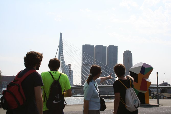 Cultural Walking Tour in Rotterdam - The Iconic Erasmus Bridge and Riverside Views