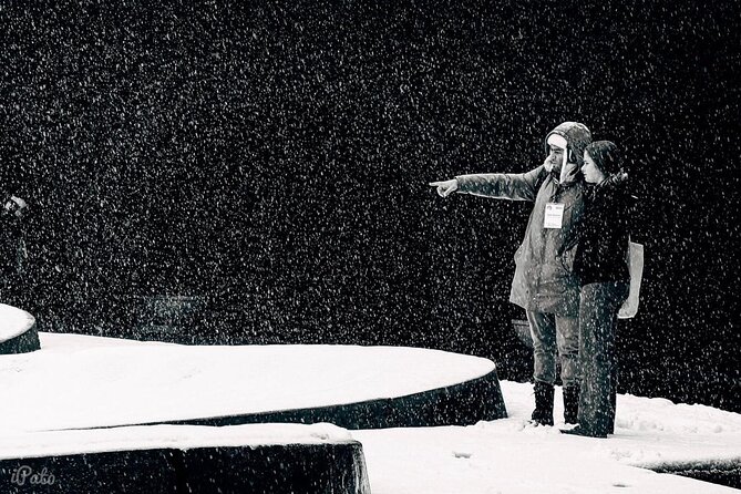 Cultural Walking Tour in Yerevan with tastings - Starting at Republic Square with Armenian Style Patterns