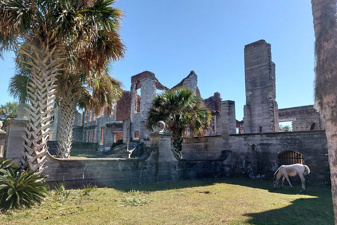 Cumberland Island Walking Tour - Visiting the Servants Quarters and Historic Laundry