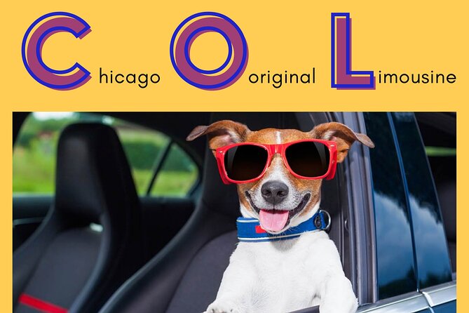 Curbside Sedan Transportation from O'Hare or Midway Airport to Downtown Chicago - Final Thoughts on the Chicago Airport Transfer Service