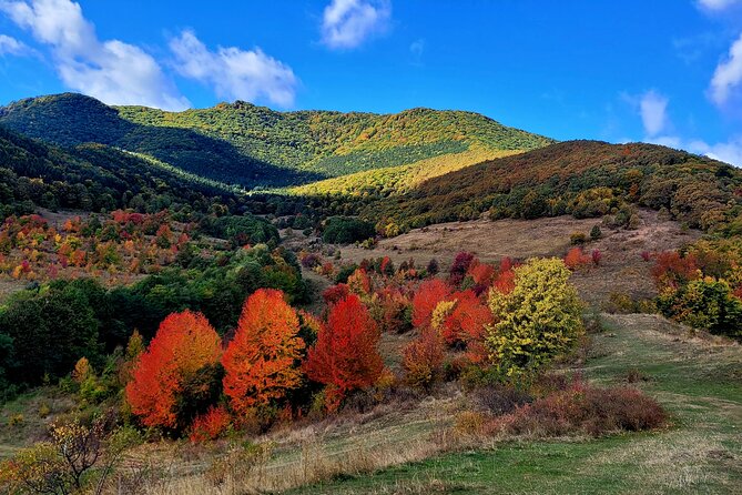 Curly Tour - Day trip from Cluj :) - Visiting Rimetea Village: Architectural Charm and Cultural Heritage