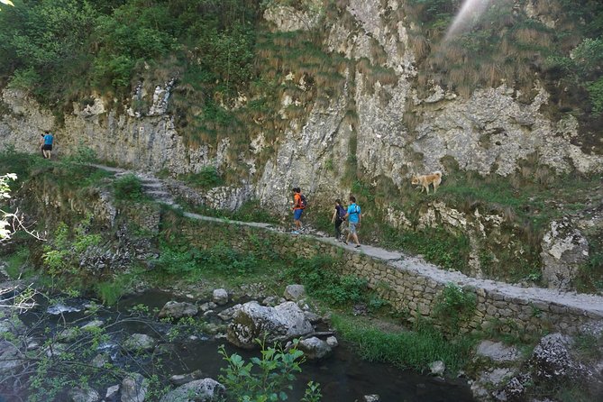 Curly Tour - Day trip from Cluj :) - Comfortable Return to Cluj-Napoca