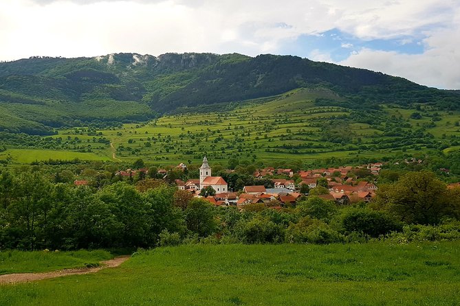 Curly Tour - Day trip from Cluj :) - Why This Tour Stands Out