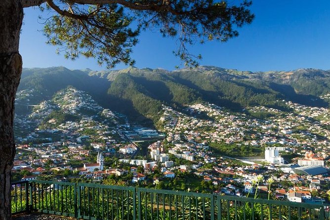 Curral das Freiras e Monte - Unique Features of This Tour from Limousine Taxis Madeira