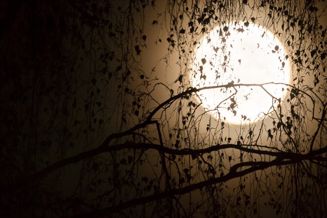 Curse of the Doomed Passage Escape Game in Flaine - Starting Point at Flaine Tourist Office