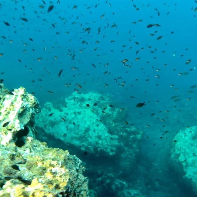 Curso de PaddleSurf, Visita Cuevas y Calas secretas, Snorkel - Cliffs, Caves, and Stunning Water Colors