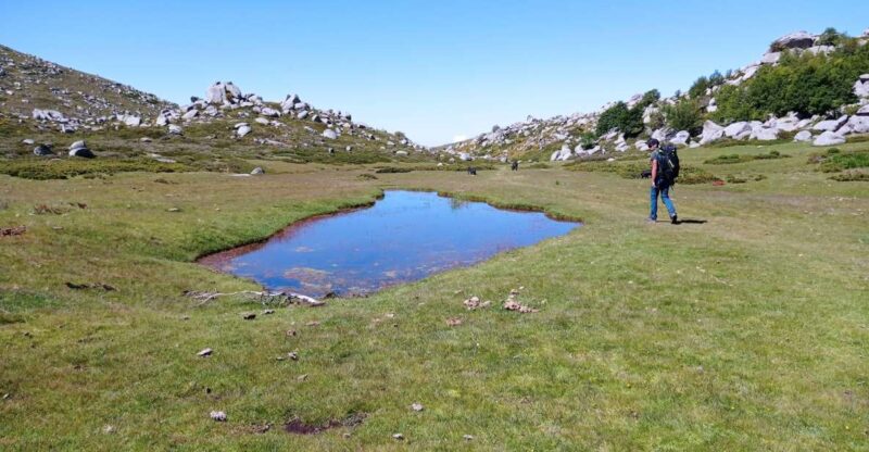 Cuscionu's plateau, 1000 waterholes'grass : pozzines - Exploring the Old Glacial Lake and Waterholes