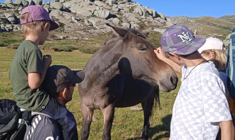 Cuscionu's plateau, 1000 waterholes'grass : pozzines - Why Choose This Tour?