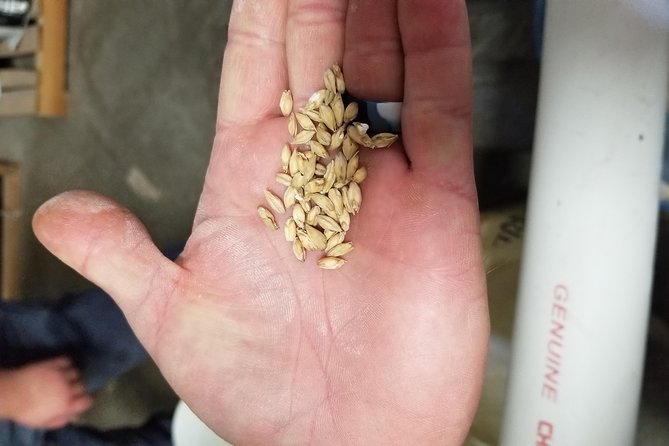 Custom Arizona Brewery / Vineyard Tour - Key Points