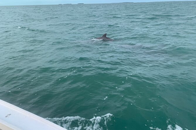 Custom Charters with a Local Captain - The Experience Duration and Pacing