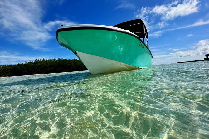 Custom Charters with a Local Captain - The Value of a Private Custom Charter