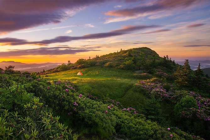 Custom Half-Day Photo Tour with Photography Lessons from Asheville - A Guide Who Combines Expertise and Friendliness