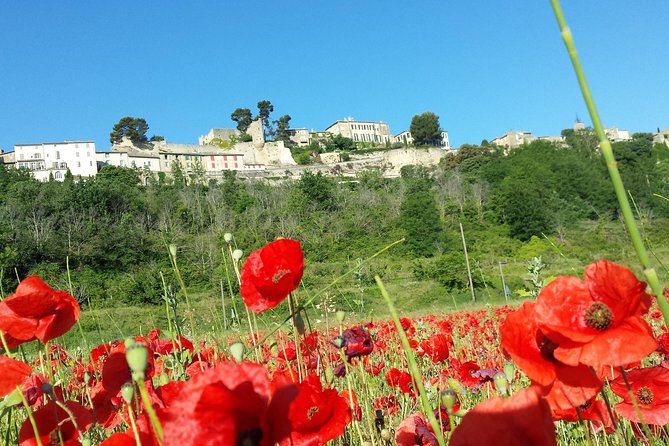 Custom Half-Day Private Tour through Provence - Explore Provence Your Way with a Private Half-Day Tour from Avignon