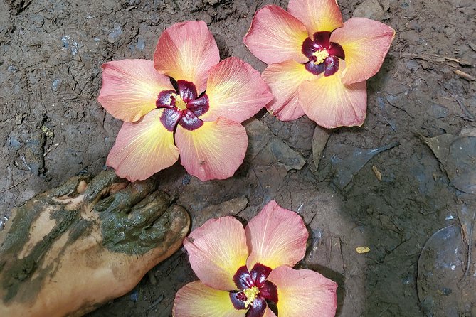 Custom Island Adventure Tours - Logistics and Practical Details