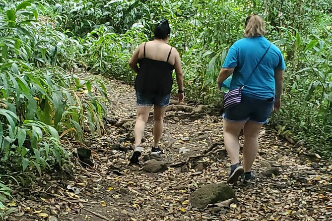 Custom Island Adventures Tour - Historic and Cultural Sites Tailored to Your Interests