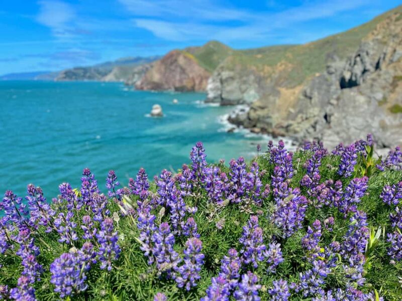 CUSTOM PHOTO ADVENTURES TO THE BAY AREA'S MOST EPIC SCENERY - Discover the Bay Area’s Most Epic Scenery with a Personalized Photo Tour