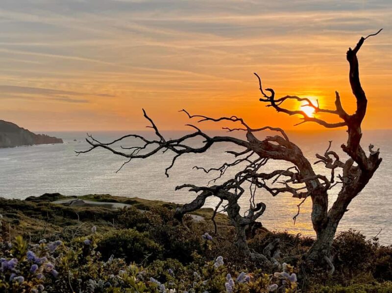 CUSTOM PHOTO ADVENTURES TO THE BAY AREA'S MOST EPIC SCENERY - Exploring Marin County’s Breathtaking Views
