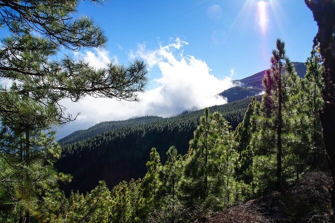 Custom Private Full-Day Tour into the Heart of Tenerife - Marvel at Los Roques de Garcia