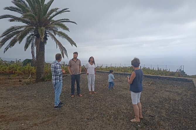 Custom Private Tenerife Full Island Car Tour - Logistics: Meeting Points and Timing
