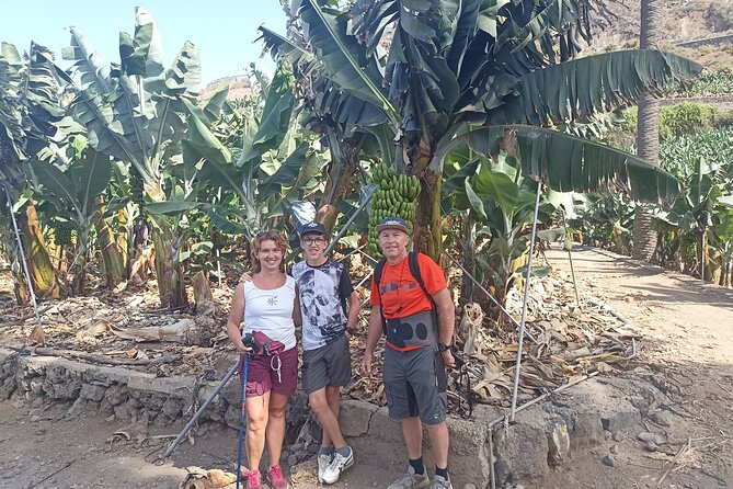 Custom Private Tenerife Full Island Car Tour - Potential Drawbacks and Considerations